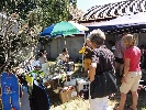 B-0380-dsc06631.jpg