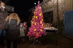B-0200-img_6388.jpg