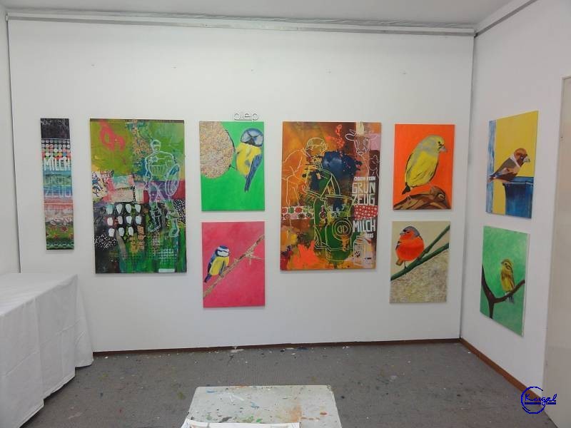 B-0180-dsc05474.jpg