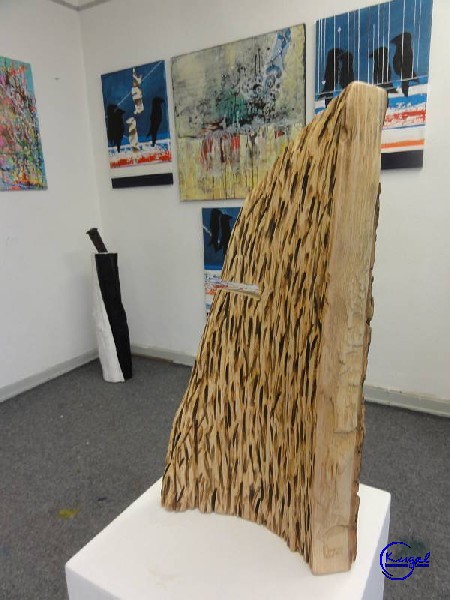 B-0430-dsc05499.jpg
