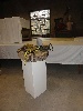 B-0480-dsc05504.jpg