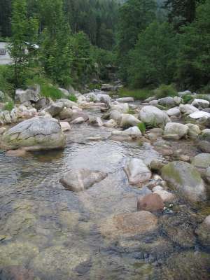IMG_0585.JPG