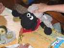 a-img_7909.jpg