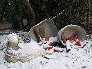B-0100-img_3075.jpg