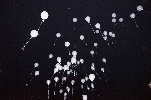 B-0502-dsc06732.jpg