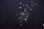 B-0503-dsc06733.jpg