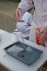 DSC03594.JPG